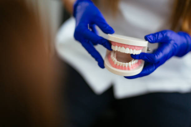 Best Dental Fillings (Composite and Amalgam)  in Hasson Heights, PA